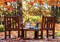 Fall Day Two Wood Chairs Books Drinks Royalty Free Stock Photo