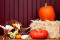 Fall Decor Royalty Free Stock Photo