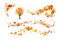 Fall decor elements Royalty Free Stock Photo