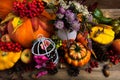 Fall decor with orange turban squash, top view Royalty Free Stock Photo