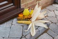 Fall decoration of multi-coloured Indian corn and ornamental gourds Royalty Free Stock Photo