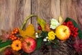 Fall decoration with pumpkin, apples, maple leaves, pine cones, Royalty Free Stock Photo