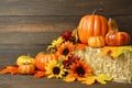 Fall background with pumpkins and florals. Thanksgiving decorations Royalty Free Stock Photo