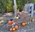 Fall Decorations Of Pumpkins, Hay Bales And An Outhouse