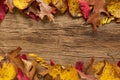 Fall decorations on wooden planks