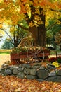 Fall Display Royalty Free Stock Photo