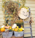 Fall Display, Gourds, Moon and Ladder with Vines Royalty Free Stock Photo