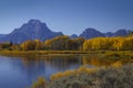 Fall on display in the Grand Tetons