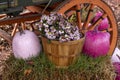 Fall Display of Pink Pumpkins and Flowers