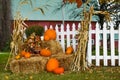 Fall Display by White Picket Fence Royalty Free Stock Photo