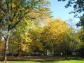 Fall is entering Boston Common Royalty Free Stock Photo