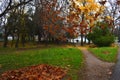 Fall evening park alley sight Royalty Free Stock Photo