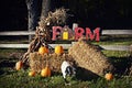 Fall Farm Display Royalty Free Stock Photo