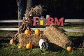 Fall Farm Display