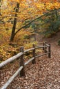 Fall Fence Royalty Free Stock Photo