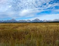 Fall Field With View of the Grand Tetons Royalty Free Stock Photo