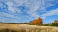 Fall in FingerLakes Farm Country Royalty Free Stock Photo