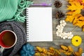 Fall flatlay, with blank spiral notebook journal, coffee mug, jewerly, scarfs and blankets. Cozy autumn scene with maple leaves on