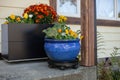 Fall flowers decorate the front door stoop of a house.