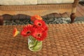 Fall flowers Gerberas sitting in a Vase on a table Royalty Free Stock Photo