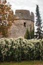 Fall flowers and leaves around a tower