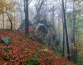 Fall fog forest of the beech trees. Autumn landscape. Meadow covered with fallen orange leaves. Mystical old stone. Natural Royalty Free Stock Photo