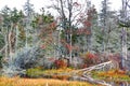 Fall foilage in october along a narrow waterway Royalty Free Stock Photo