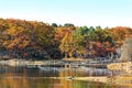 Fall foilage in october along a narrow waterway Royalty Free Stock Photo