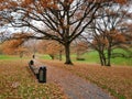 Autumn in the park, Aarhus University, Denmark Royalty Free Stock Photo