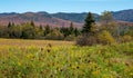 Fall foliage in the Adirondack Mountains