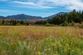 Fall foliage in the Adirondack Mountains