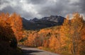 Fall foliage along Colorado scenic back ways