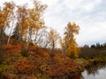 Fall Foliage Along the Gooseberry River in Gooseberry Falls State Park