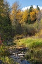 Fall Foliage along Nason Creek Royalty Free Stock Photo