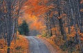 Fall foliage along scenic road through Parc de la Jacques-cartier national park in Quebec