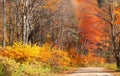 Fall foliage along scenic road through Parc de la Jacques-cartier national park in Quebec