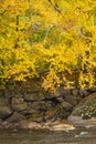 Fall foliage along the Sugar River in Newport, New Hampshire Royalty Free Stock Photo