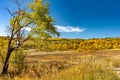 Fall Foliage around Steamboat Springs Colorado Royalty Free Stock Photo