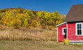 Fall Foliage around Steamboat Springs Colorado Royalty Free Stock Photo