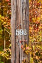 Fall foliage around wood telephone pole communications with numbers 5 9 3 in metal Royalty Free Stock Photo