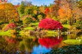 The Asticou Azalea Gardens on Mount Desert Island, Maine Royalty Free Stock Photo