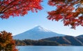 Fall foliage in autumn season and Mountain Fuji near Fujikawaguc Royalty Free Stock Photo