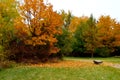 Fall Foliage Boise Idaho Albertson Park Royalty Free Stock Photo