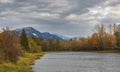 Fall foliage in British Columbia mountains. Canadian woods in fall autumn season in Agassiz by Fraiser River Royalty Free Stock Photo