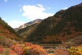 Hiking through the Min Mountains, surrounded by the colorful fall foliage in Jiuzhaigou Valley National Park of Sichuan, China. Royalty Free Stock Photo