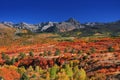 Fall foliage at Continental divide near Ridgeway, Colorado