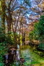 Fall foliage on the crystal clear Frio River in Texas. Royalty Free Stock Photo