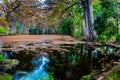 Fall foliage on the crystal clear Frio River in Texas. Royalty Free Stock Photo