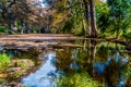 Fall foliage on the crystal clear Frio River in Texas. Royalty Free Stock Photo