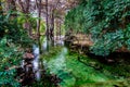 Fall foliage on the crystal clear Frio River in Texas. Royalty Free Stock Photo